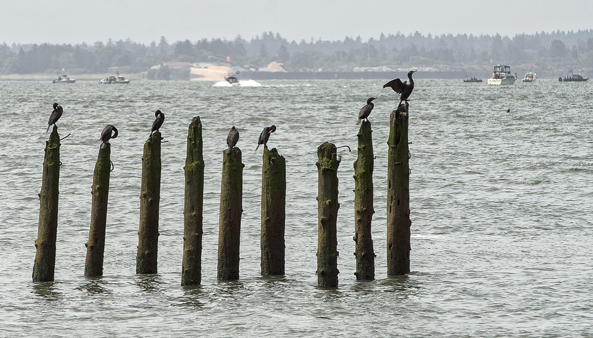 All in a row